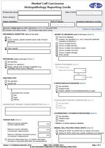 Merkel-Cell_Bookmarked_Guide