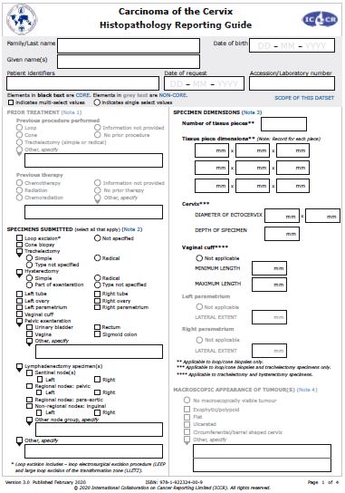 Cervix-bookmarked-guide.JPG