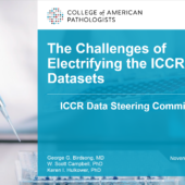 Presentation on the challenges of electrifying the ICCR datasets